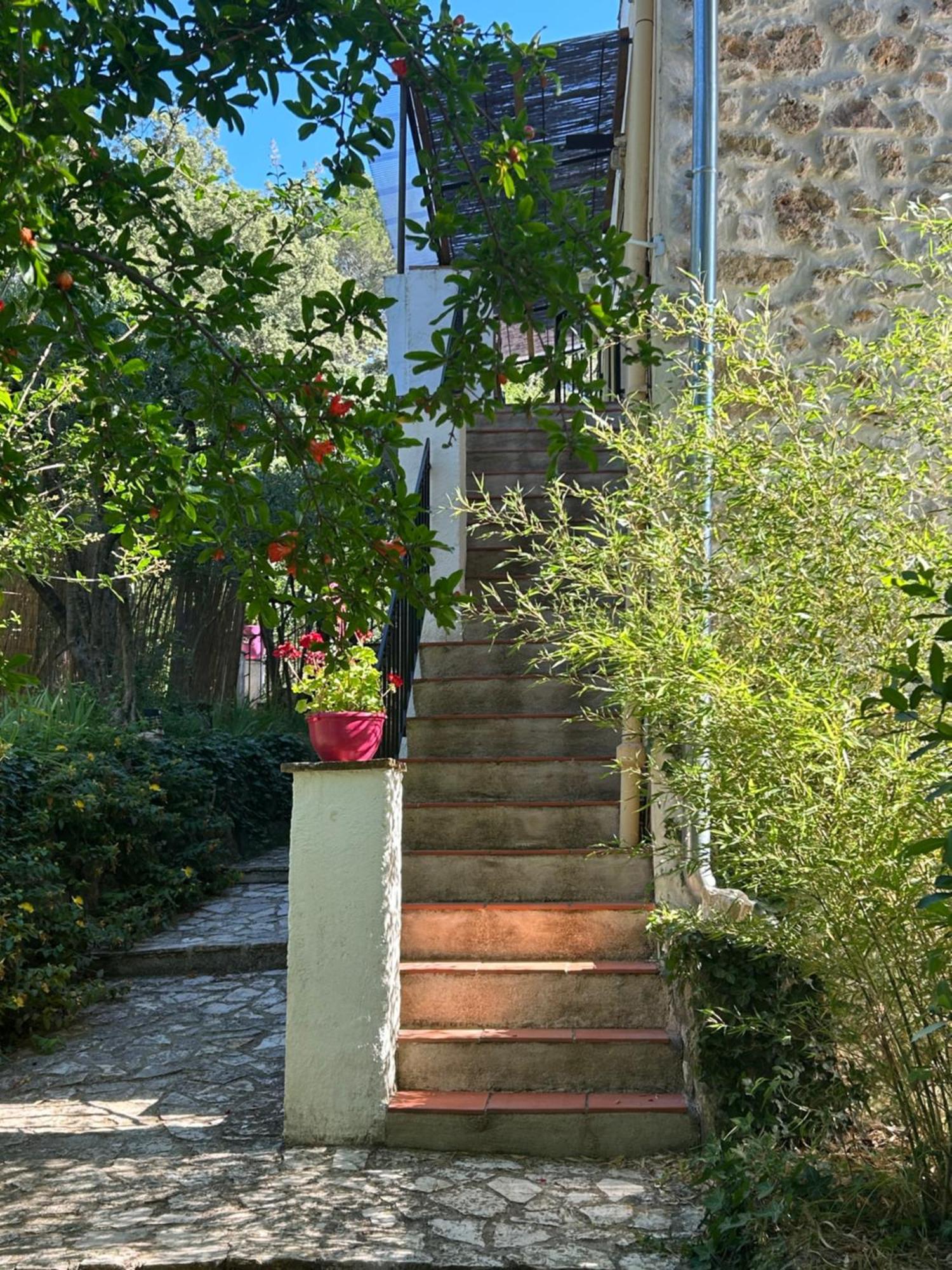 Apartament Bastide Des Hesperides Flayosc Zewnętrze zdjęcie